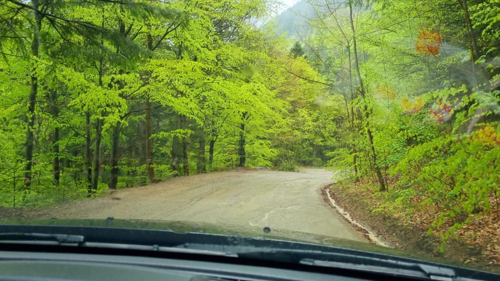 Mosorel Măgura エクステリア 写真