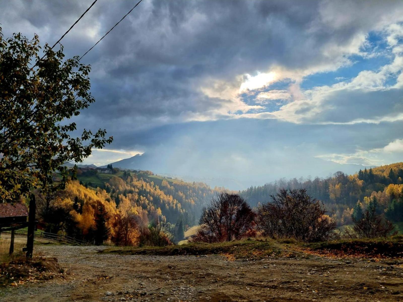 Mosorel Măgura エクステリア 写真