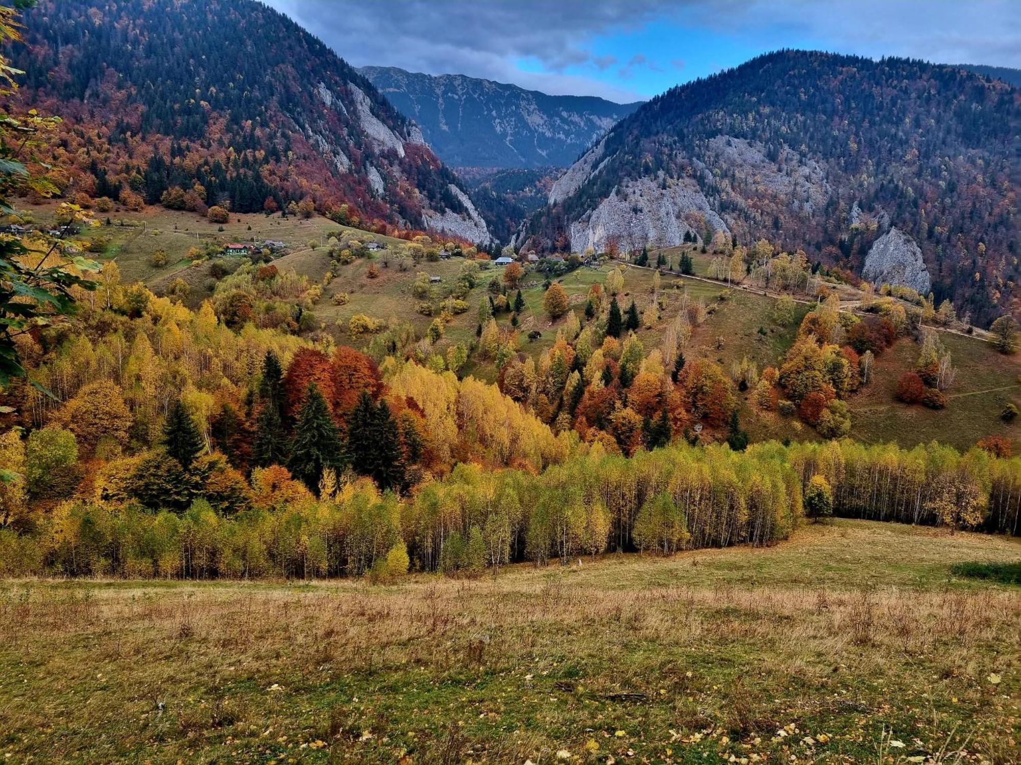 Mosorel Măgura エクステリア 写真